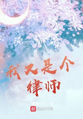 我又是个律师
