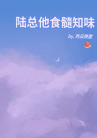 陆总他食髓知味