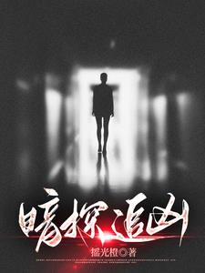 暗探追凶