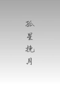 孤星挽月（1V1）