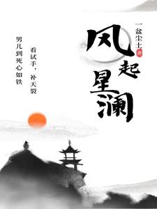 风起星澜