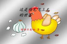 这是鸡毛飞上天的世界