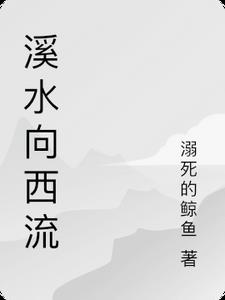 溪水向西流