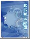 机战王朝