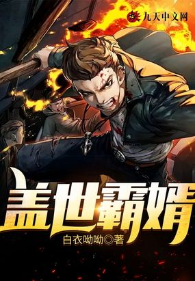 盖世霸婿