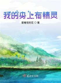 我的身上有精灵