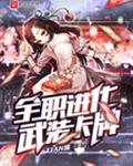 全职进化武装卡牌